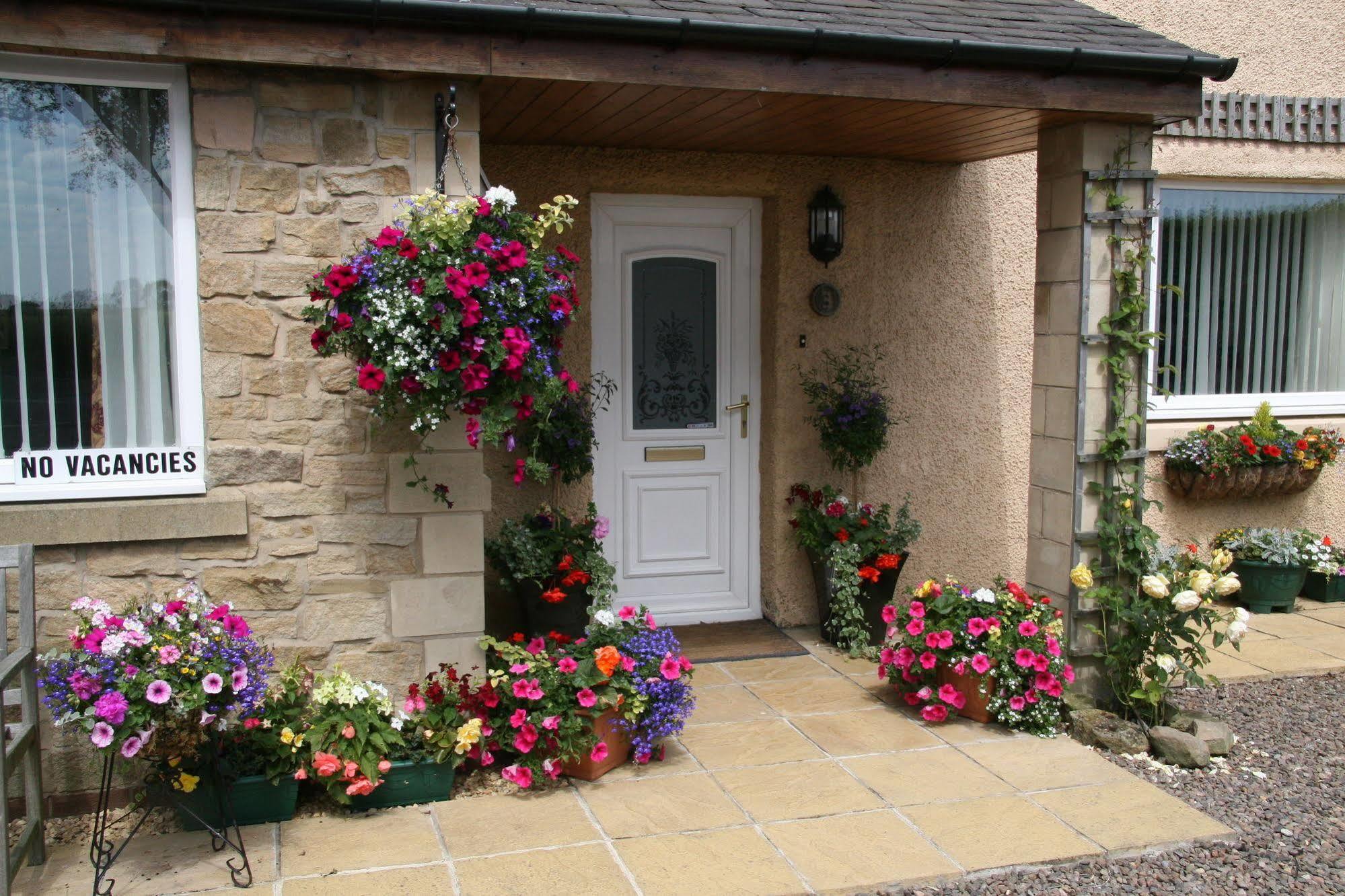 Northumberland Cottage B&B Acklington Exteriér fotografie