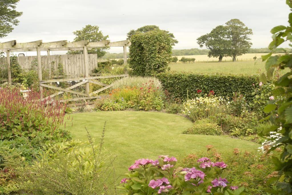 Northumberland Cottage B&B Acklington Exteriér fotografie